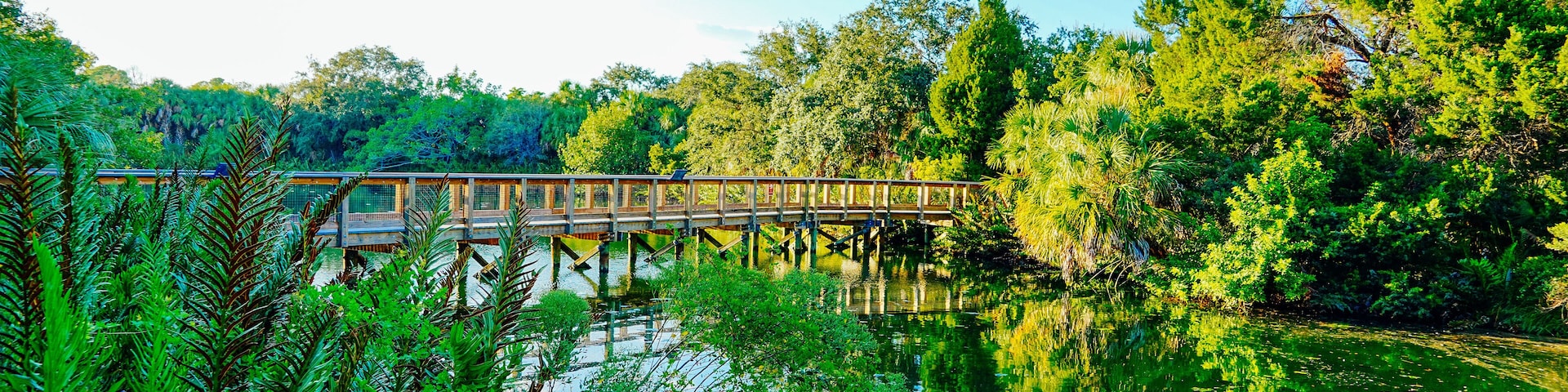 Wall Springs Park and Pinellas Trail in Palm Harbor, Tarpon Springs and Gulf of Mexico