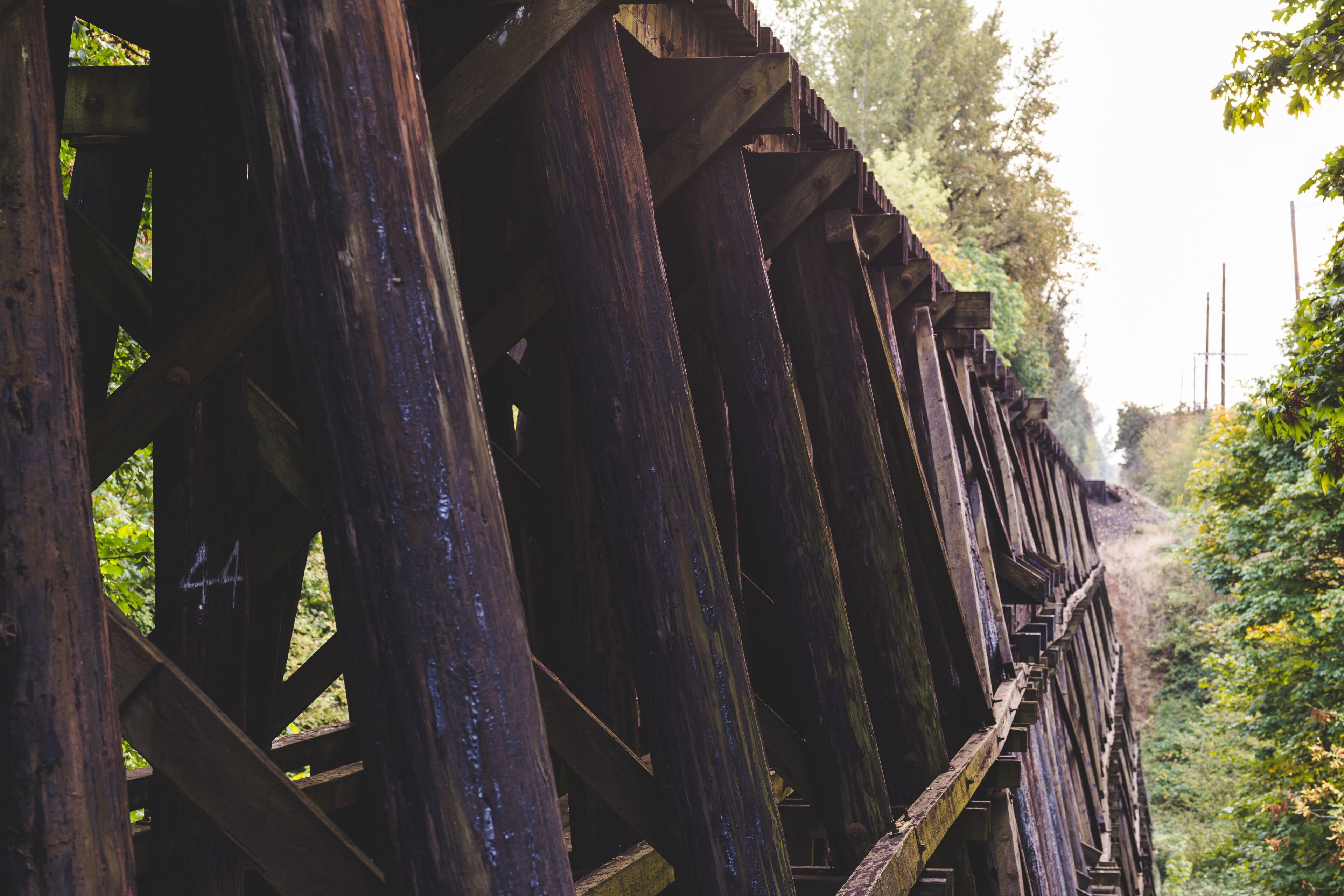 Wooden train bridge or trestle in lush forest area