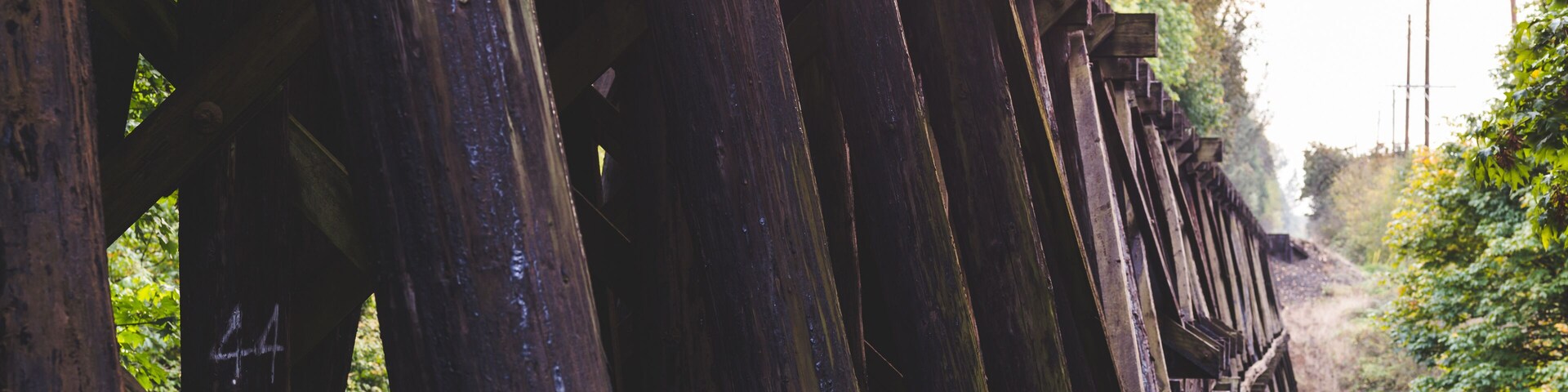Wooden train bridge or trestle in lush forest area