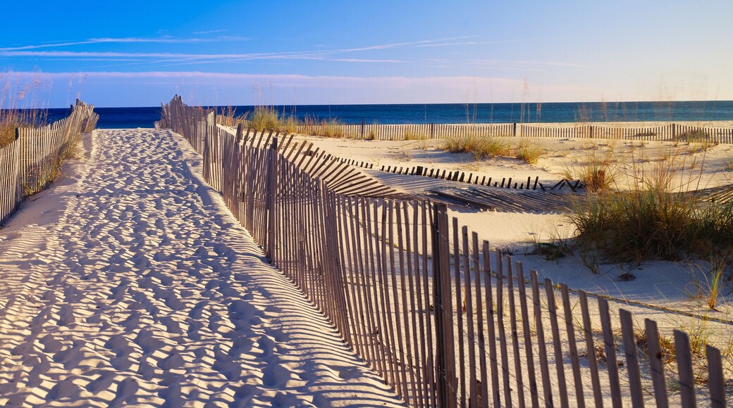 Perdido Key Coves One