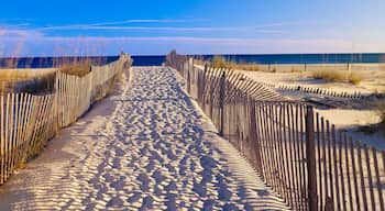 برديدو كي كوفز وان