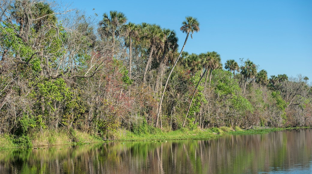 Daisy Lake Camp Sites