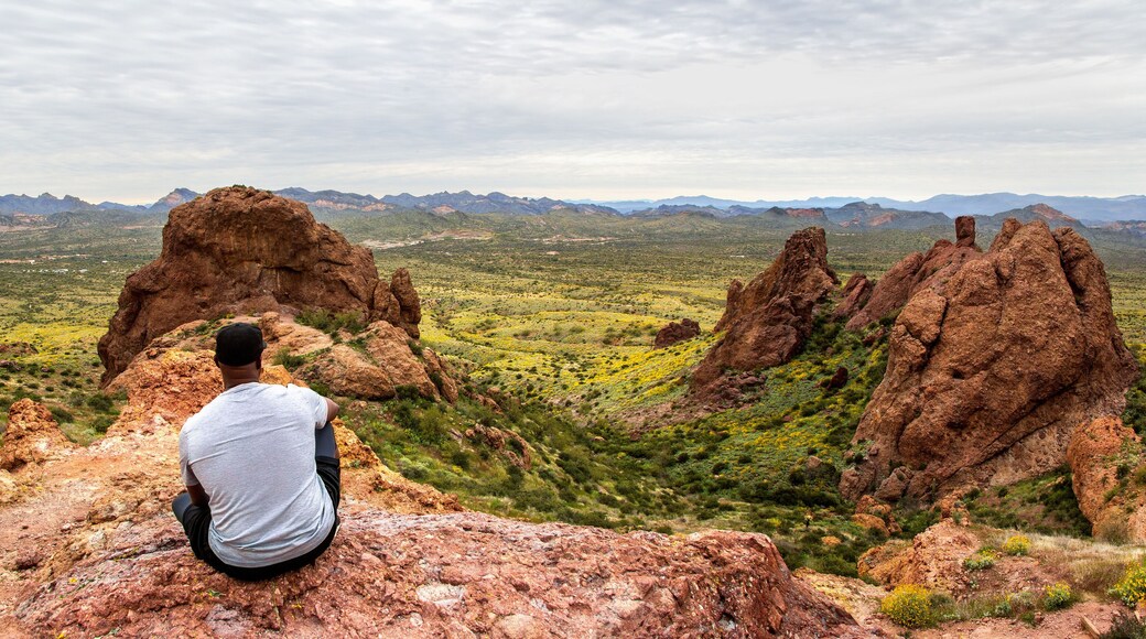 African American Hiker Looking at Arizona Desert from Flatiron Peak Panorama