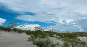 Summer Beach Scenes - Bald Head Island North Carolina
