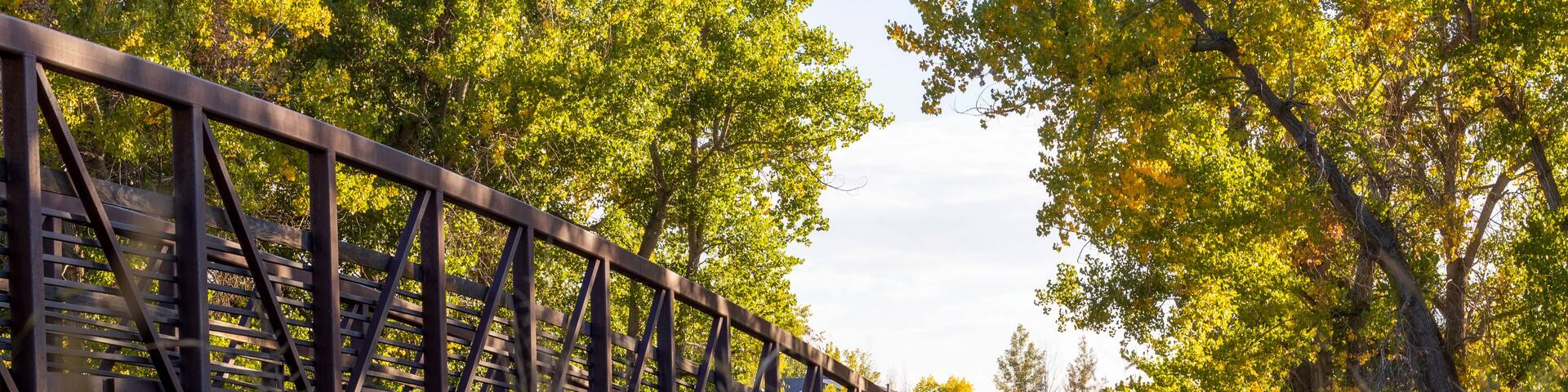 Scenery Autumn Landscape in Cherry Creek Valley Ecological Park, Centennial, Colorado