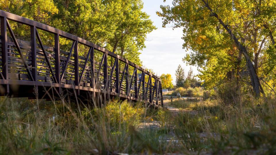 Scenery Autumn Landscape in Cherry Creek Valley Ecological Park, Centennial, Colorado