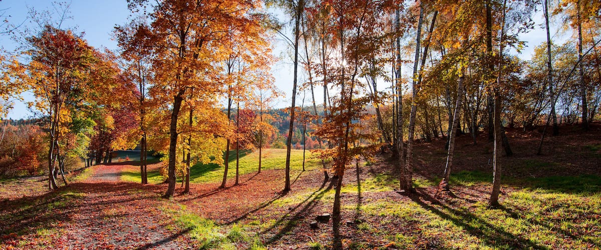 the beautiful autumn colors with the sun's rays