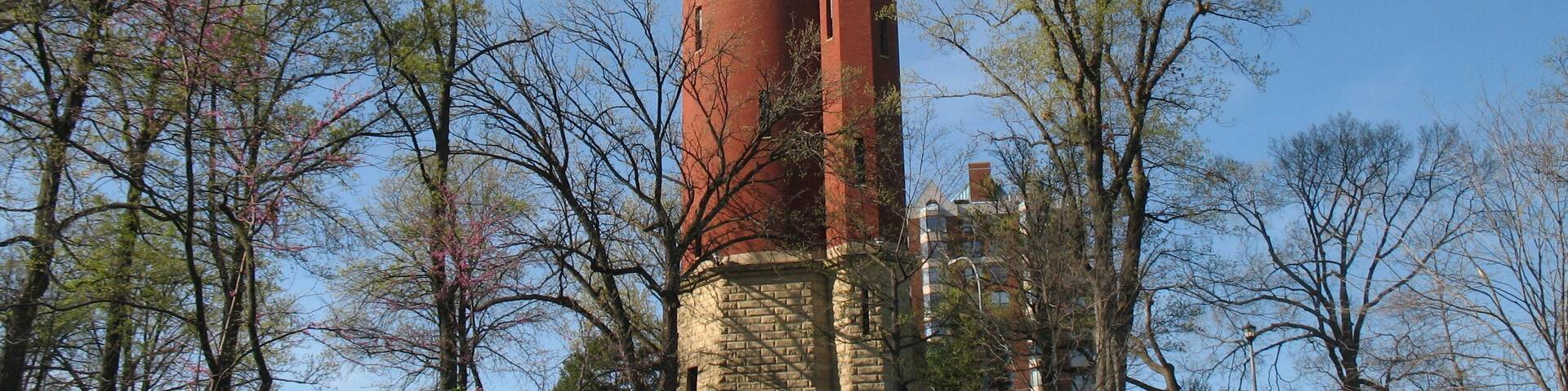 A tall brick tower with a checkered pattern, surrounded by trees and grass.