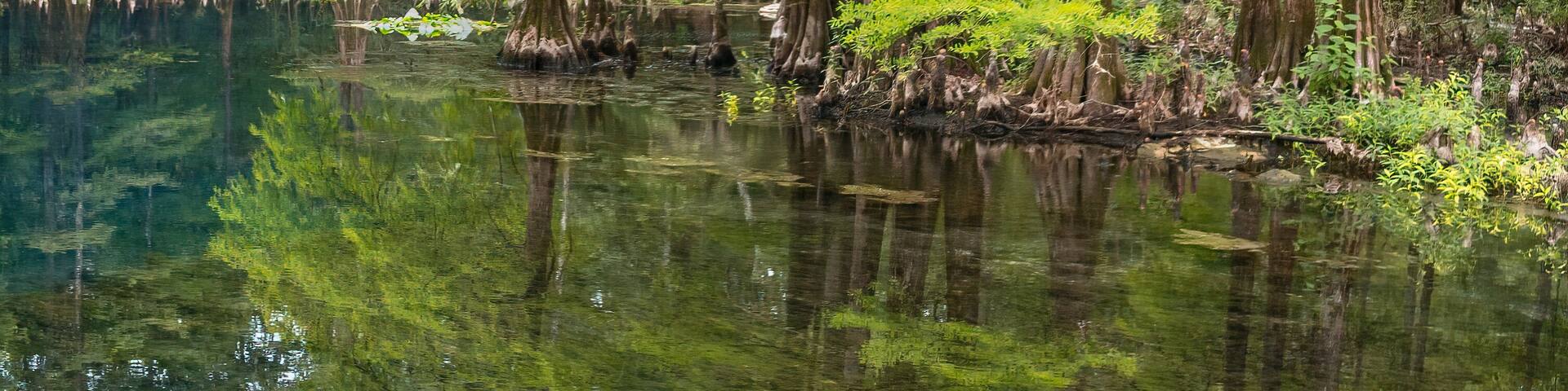Peacock III Siphon at Wes Skiles Peacock Springs State Park, Florida