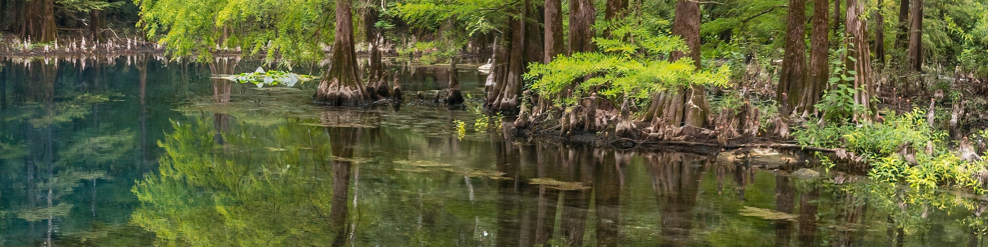 Peacock III Siphon at Wes Skiles Peacock Springs State Park, Florida