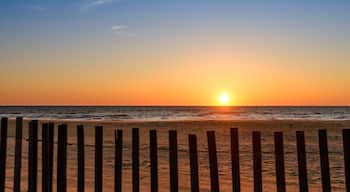 A Moment To Remember