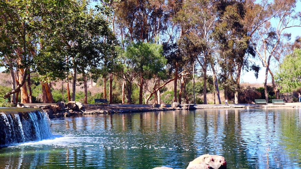 Los Angeles, California: Kenneth Hahn State Recreation Area, a State Park unit of California in the Baldwin Hills Mountains of Los Angeles