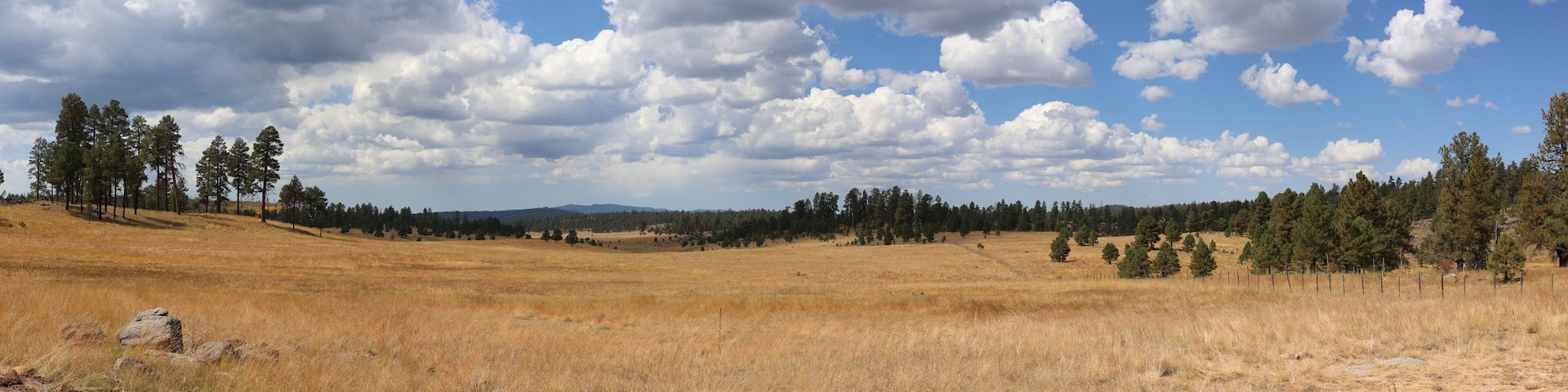 Mountain landscape in fall in Apache National Forest Arizona