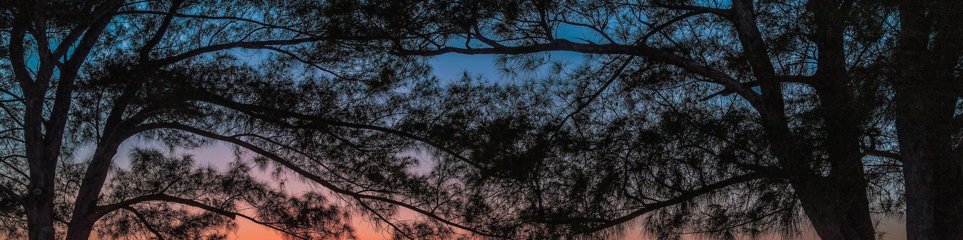 Sunset on the island of Sanibel.Florida.USA
