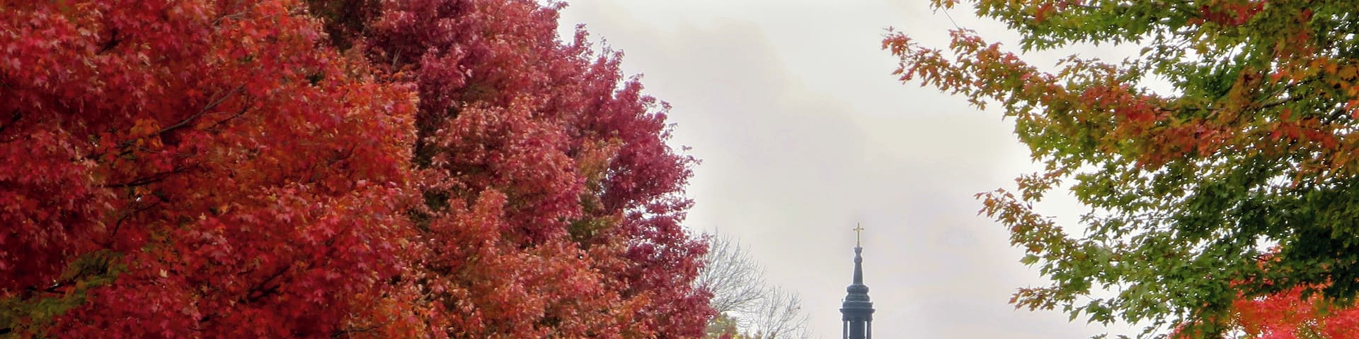 Colour on "The Hill"
The Hill refers to Cathedral Hill in St. Paul, Minnesota. A beautiful Victorian neighbourhood. And remarkably beautiful in the autumn.
The Saint Paul Cathedral peeks above the vibrant colours.