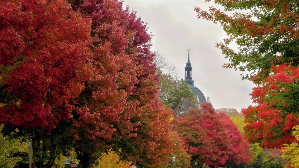 Colour on "The Hill"
The Hill refers to Cathedral Hill in St. Paul, Minnesota. A beautiful Victorian neighbourhood. And remarkably beautiful in the autumn.
The Saint Paul Cathedral peeks above the vibrant colours.