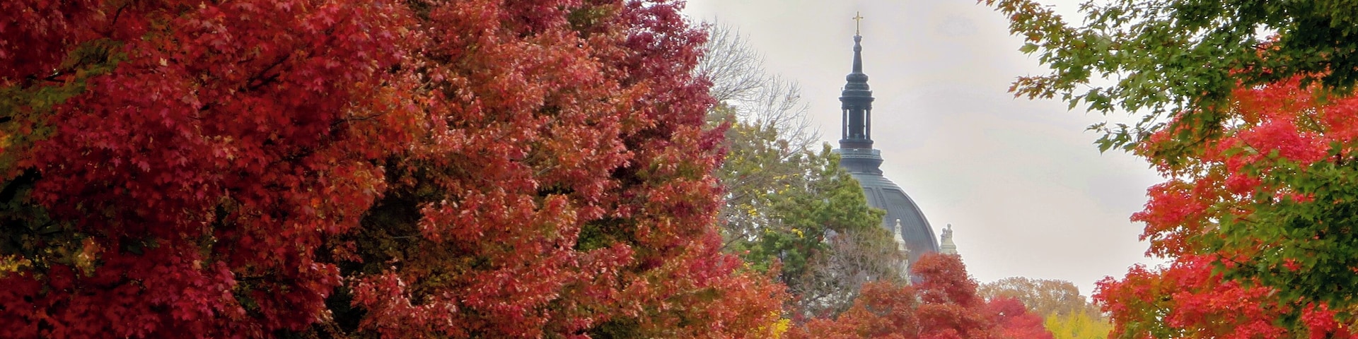 Colour on "The Hill"
The Hill refers to Cathedral Hill in St. Paul, Minnesota. A beautiful Victorian neighbourhood. And remarkably beautiful in the autumn.
The Saint Paul Cathedral peeks above the vibrant colours.