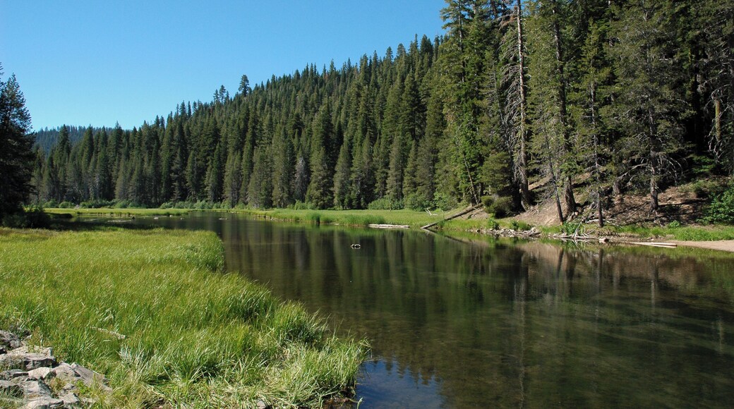 นอร์ท อัปเปอร์ ทรัคกี้