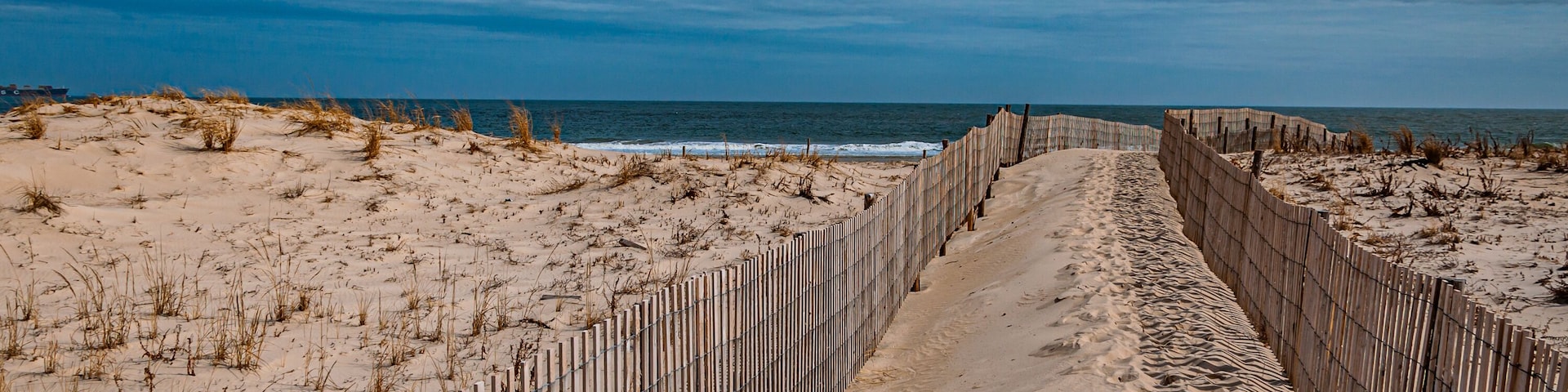 Photo of Delaware Beach Dunes