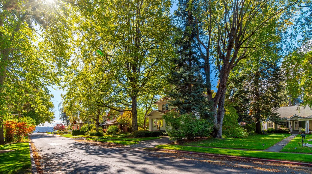 A shaded tree lined street of Victorian and historic homes across from the city park with the lake in view in historic Fort Grounds district of Coeur d'Alene, Idaho, USA.