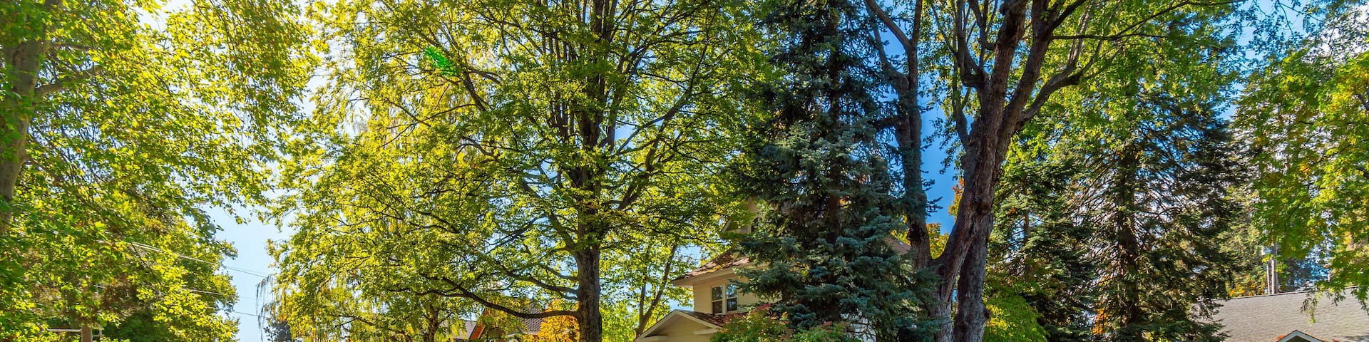 A shaded tree lined street of Victorian and historic homes across from the city park with the lake in view in historic Fort Grounds district of Coeur d'Alene, Idaho, USA.