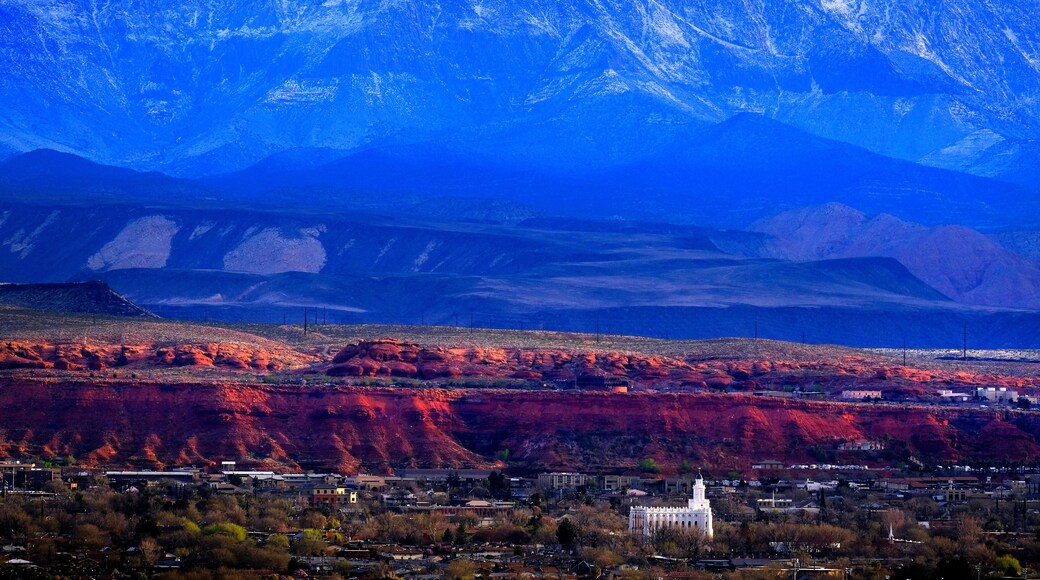 Goldfish in Pond in Gardens for Decoration and Life