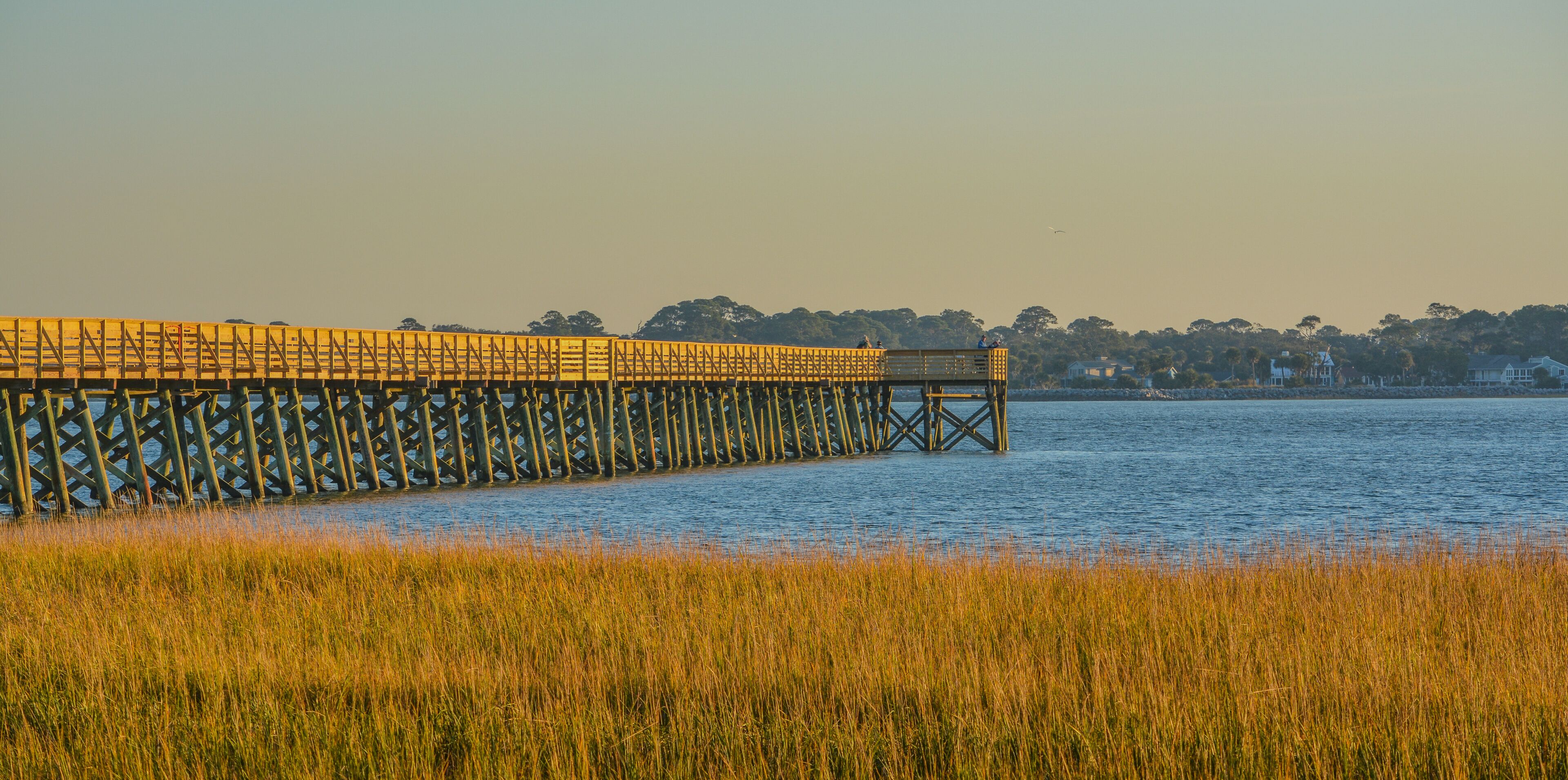 A long wooden pier extending into a body of water, surrounded by tall grasses.