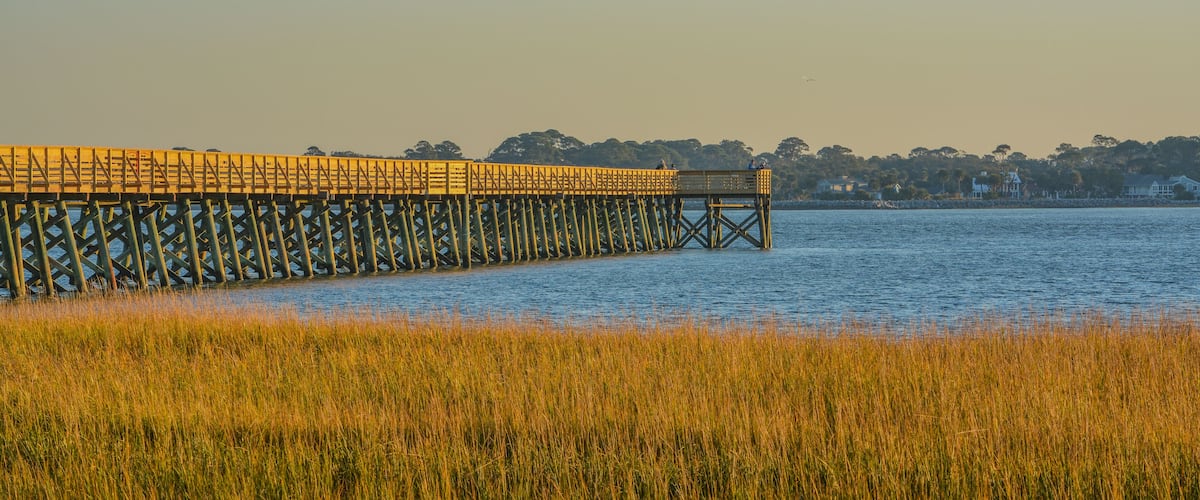 A long wooden pier extending into a body of water, surrounded by tall grasses.