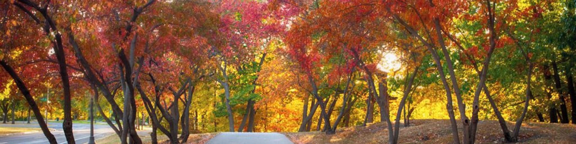 Best Places in Twin Cities to Take Fall Portraits
Plenty of maple trees, not crowded in the morning, gets very good natural West light in the afternoon.
http://joycedz.com/best-fall-photos