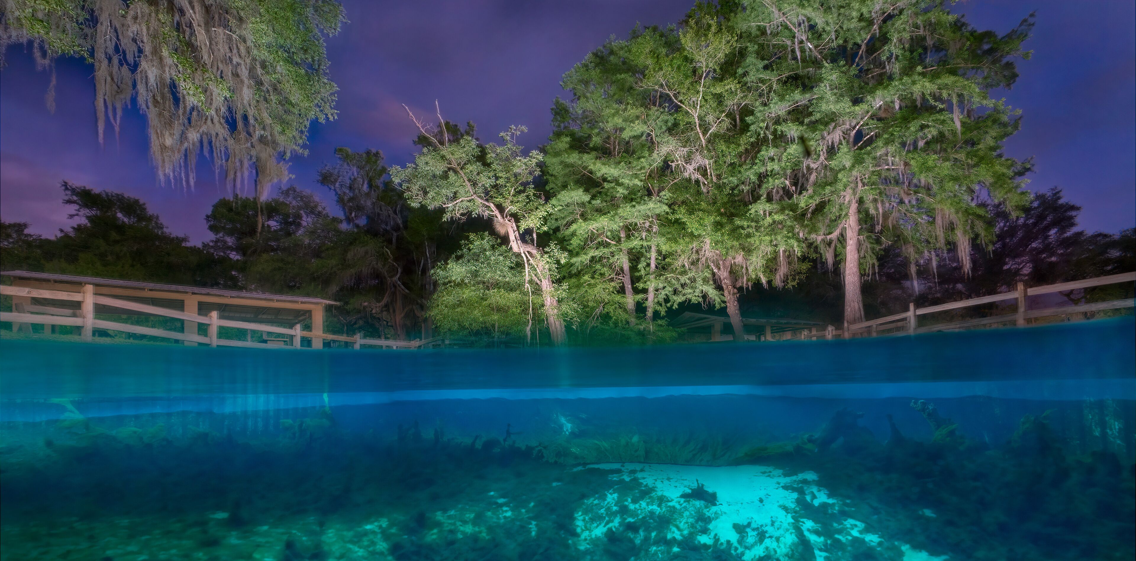 Hart Springs Illuminated at Night, Gilchrist County, Florida