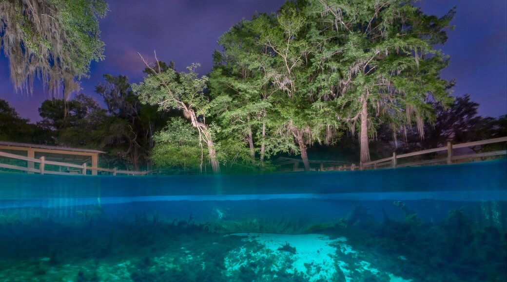 กิลคริสต์