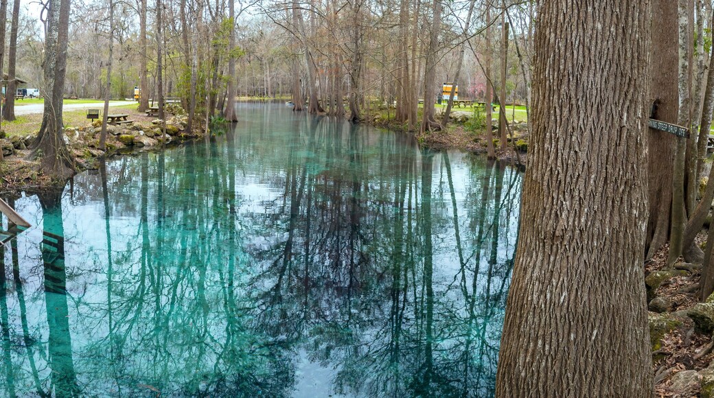 กิลคริสต์