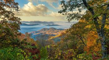 ฮิสทอริก มอนต์ฟอร์ด