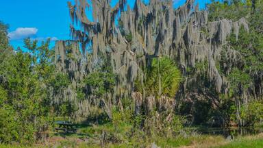 The beautiful tree lined Hurrah Lake in Alafia River State Park, Lithia, Hillsborough County, Florida