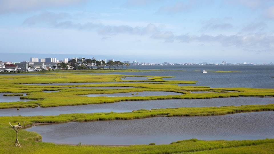 bay, beach, buildings, ocean city, clouds, countryside, wetland, delaware, fenwick island, grass, green, landscape, marsh, maryland, nature, outdoor, railing, relax, rural, scenery, scenic, sea, sky