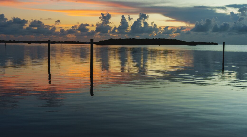 ๋ธ๋ฃจ ์ํฐ์ค