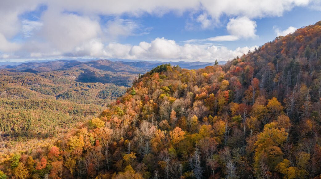 ํ์ด๋์ฆ ํ์ค