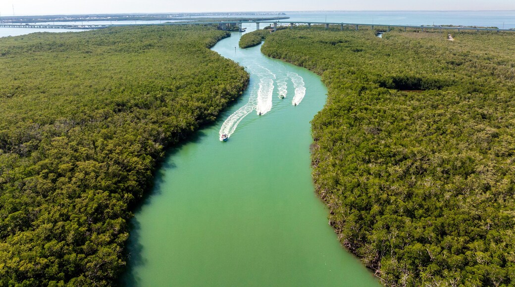 Aerial view of blackwater sound with serene waterway, boats, and lush mangroves, North Key Largo, Florida, United States.