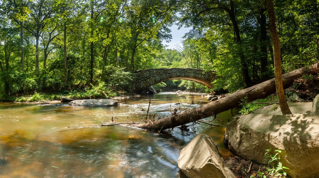 A panoramic shot of Boulder Bridge in Rock Creek Park in Washington, DC on a summer day. Rock Creek flows underneath the iconic bridge; a fallen tree is seen in the foreground.