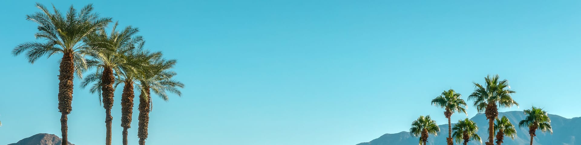 Palm trees and desert mountain panorama in Palm Springs, Coachella Valley landscape, California