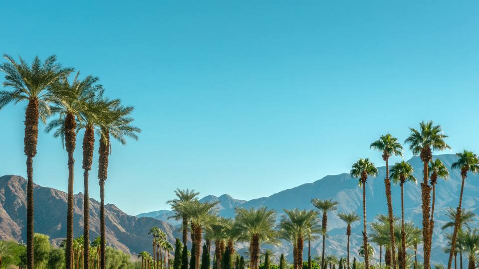 Palm trees and desert mountain panorama in Palm Springs, Coachella Valley landscape, California