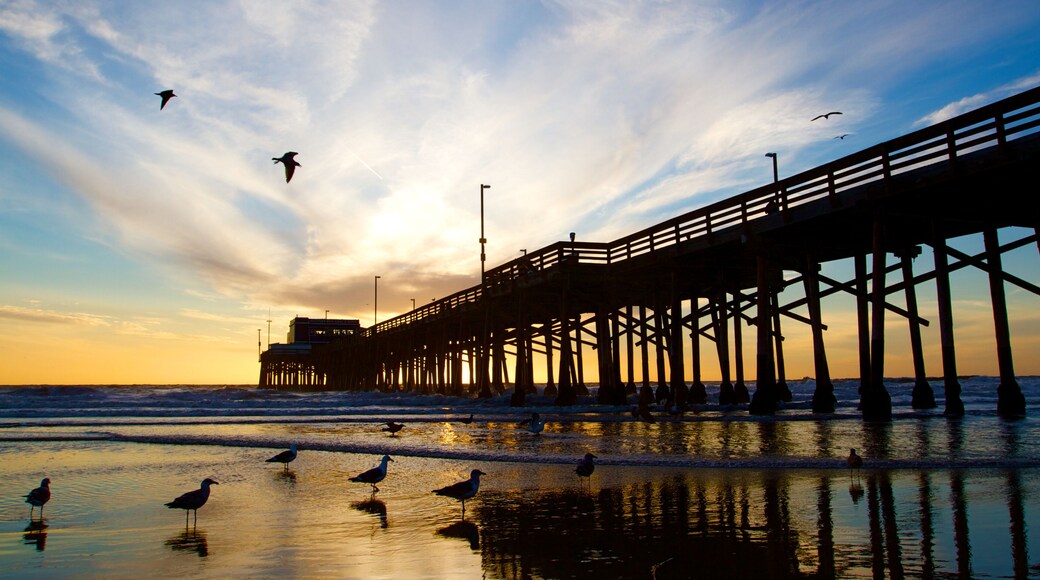 East Side Costa Mesa