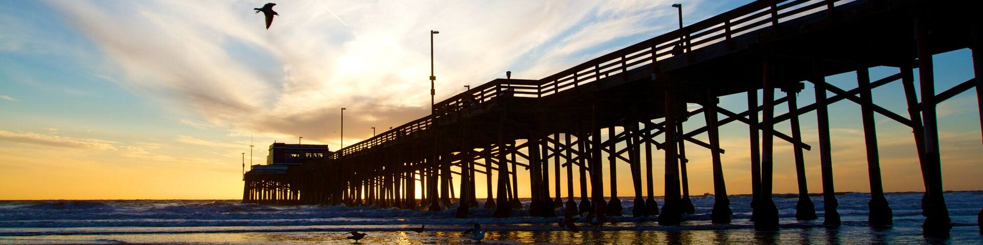 Newport Beach California Pier at Sunset in the Golden Silhouette