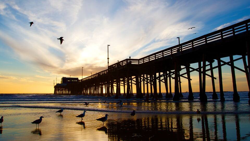 Newport Beach California Pier at Sunset in the Golden Silhouette