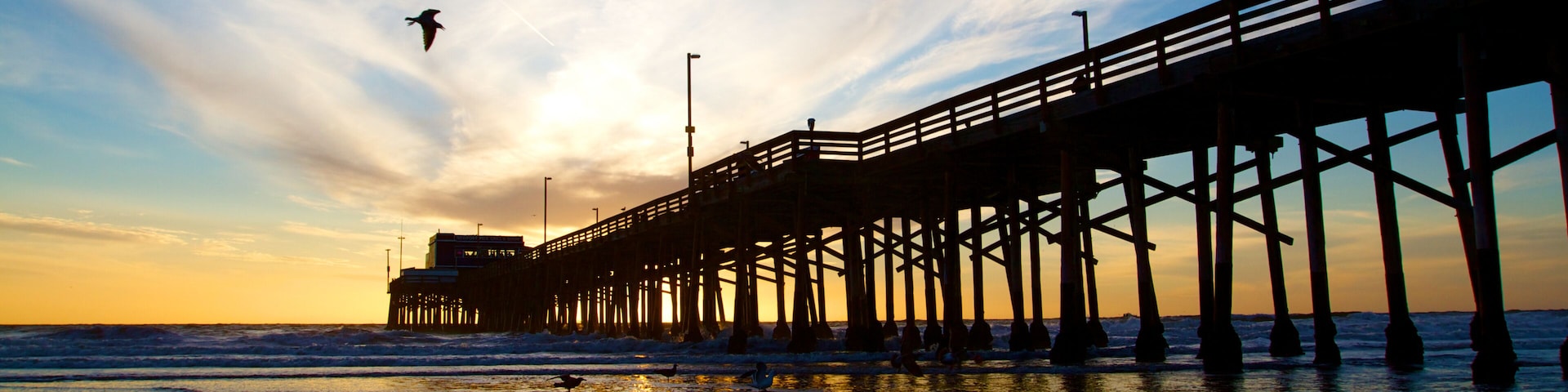Newport Beach California Pier at Sunset in the Golden Silhouette