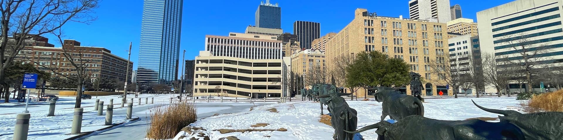 Dallas and almost all the cities in north Texas are suffering from an unexpected huge amount of snow. It’s so cold ,so hard to drive.besides that, a lack of power. 02.15.2021 , dallas.