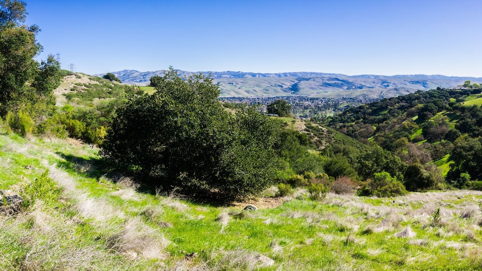 A valley with green hills, trees, and distant mountains.