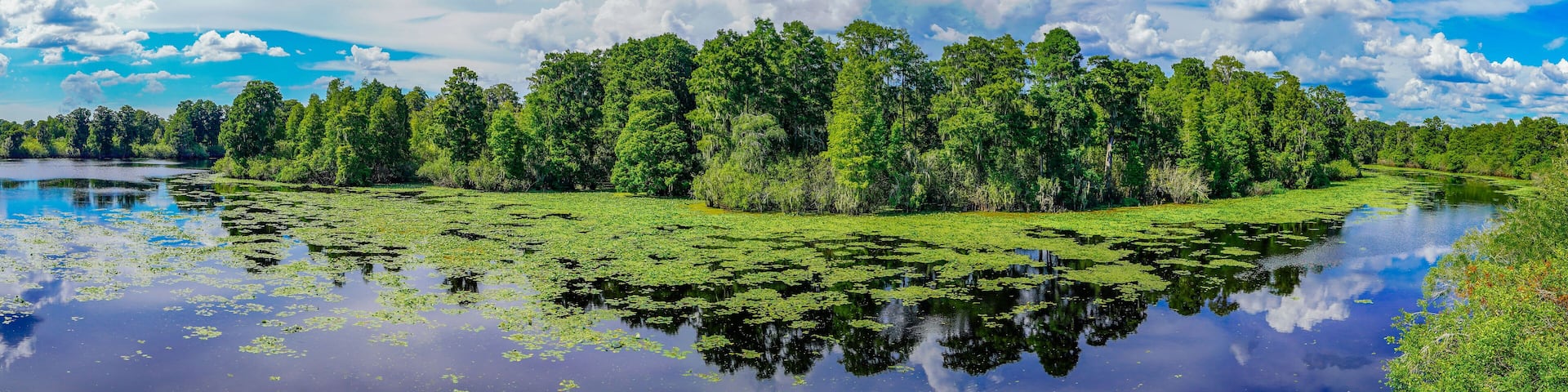 A lake surrounded by dense forest and a clear sky.