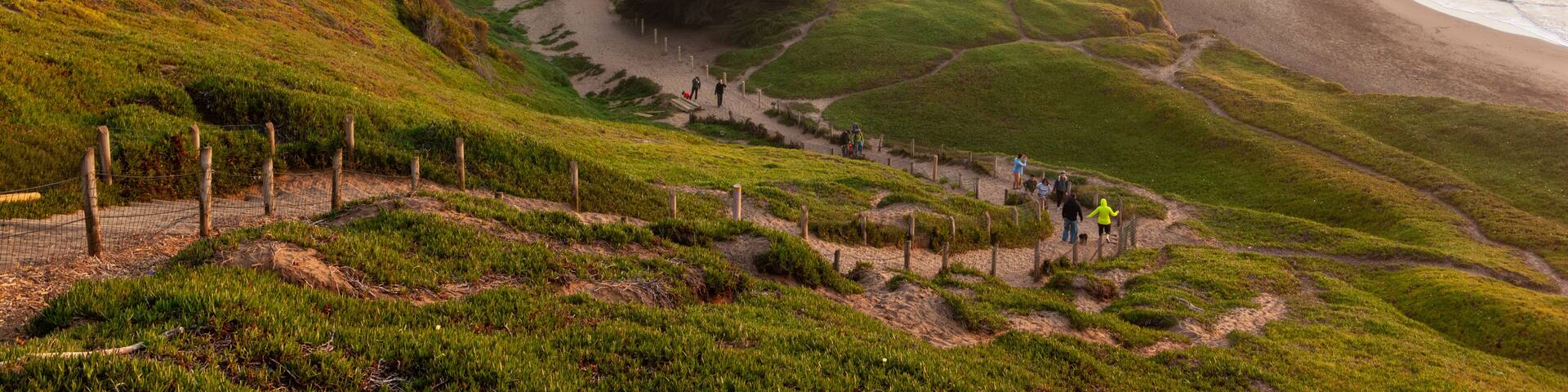 A coastal landscape with a grassy path leading to the beach, a sandy beach, and the ocean.