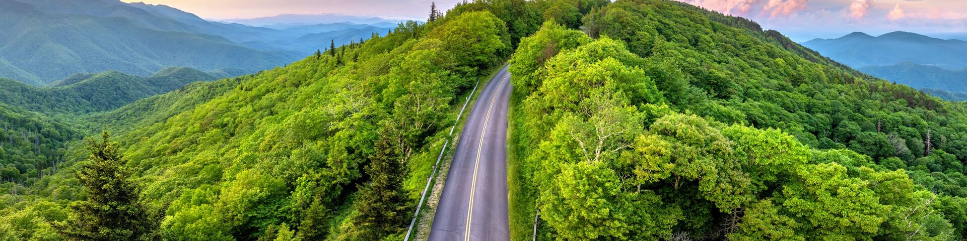 A winding road through a lush green forest with mountains in the background.